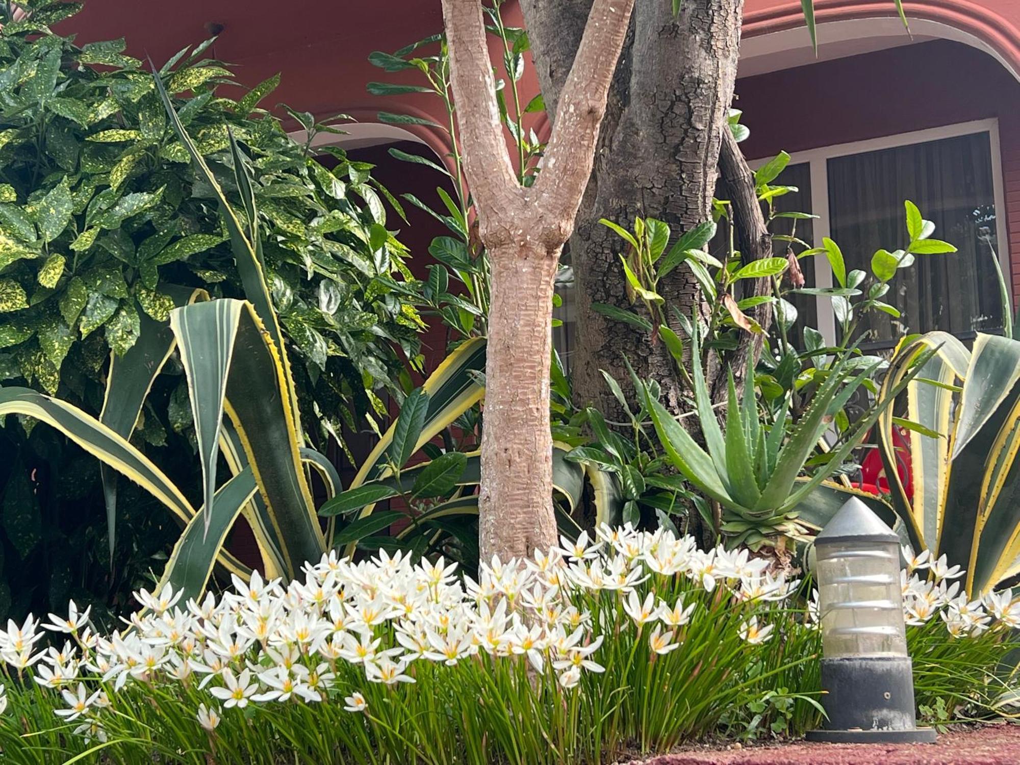 Gold Guest House Gonio Extérieur photo