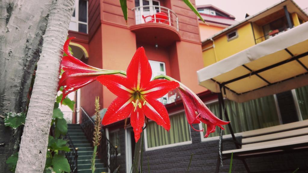Gold Guest House Gonio Extérieur photo
